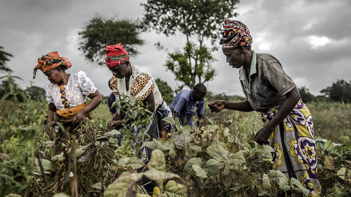 अफ्रिकी देशहरूमा खाद्य सुरक्षाका लागि दश अर्ब अमेरिकी डलर सहयोग