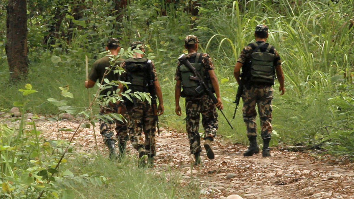 चितवन राष्ट्रिय निकुञ्जमा वन्यजन्तुको चोरी शिकारी राेक्न सेनाले बढायो गस्ती