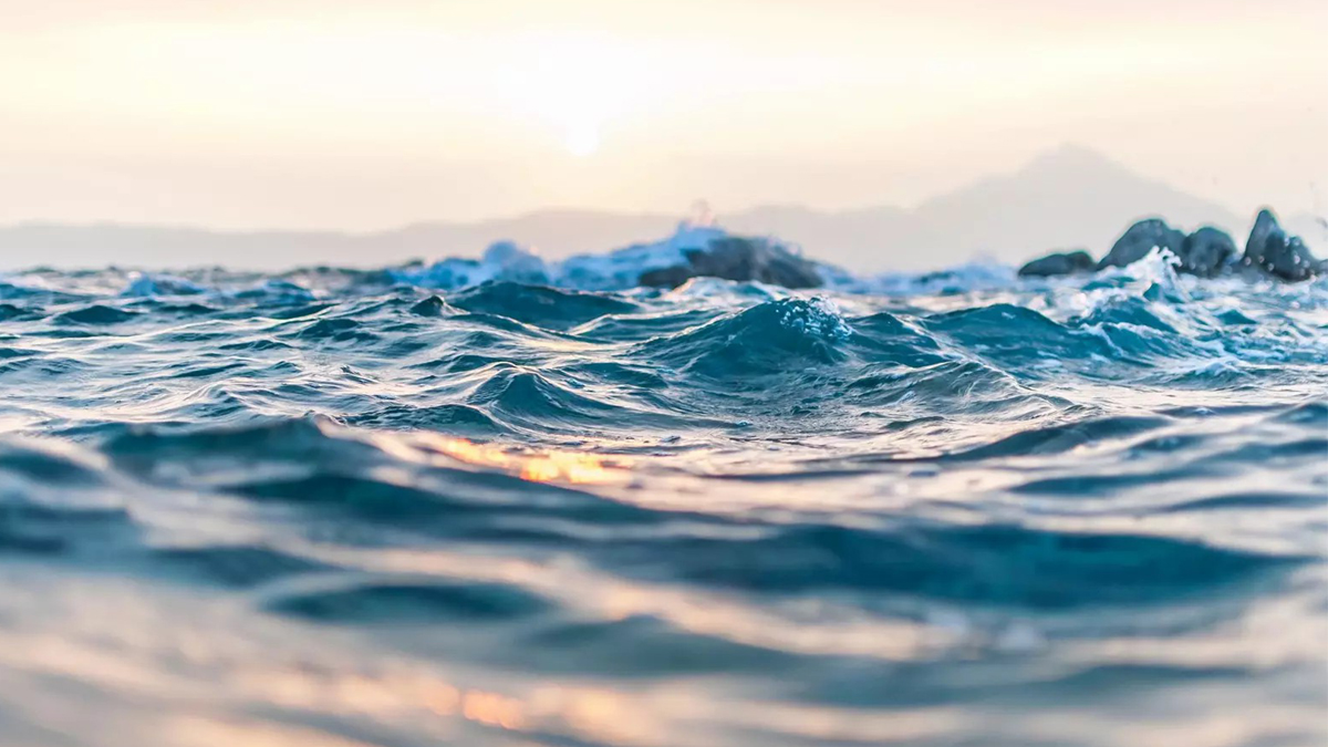 विश्वको समुद्री ताप उच्च बिन्दुमा – अध्ययन