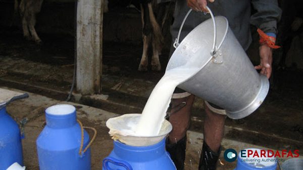 नेपालमा दूध उत्पादन घट्यो