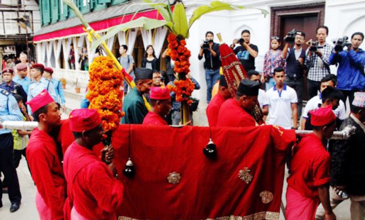 नवरात्रको सातौँ दिन : आज घरघरमा फूलपाती भित्र्याइँदै