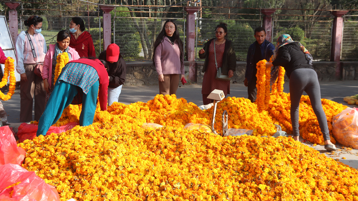 मूल्य नपाउँदा तिहारमा गत वर्षभन्दा कम बिक्री भयो फूल