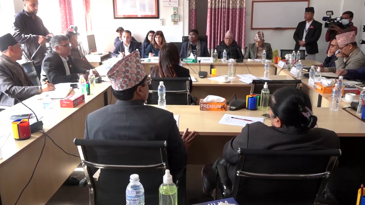 नेपाल एयरलाइन्स र विमानस्थल सुधारसम्बन्धी प्रतिवेदन तत्काल बुझाउन संसदीय समितिको निर्देशन